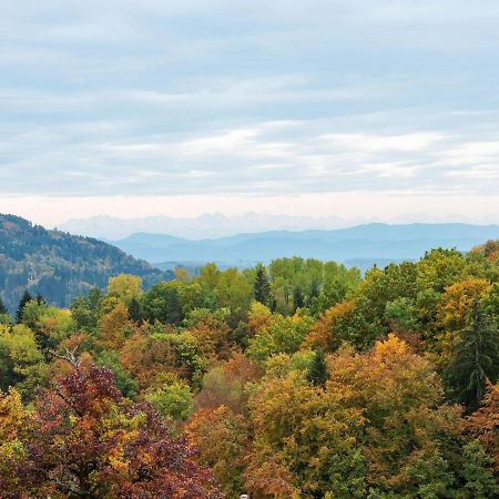 Apartment On The Edge Of The Forest Kleines Wiesental Екстер'єр фото