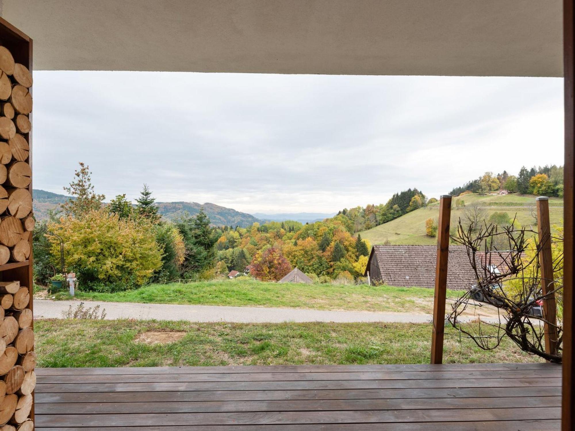 Apartment On The Edge Of The Forest Kleines Wiesental Екстер'єр фото